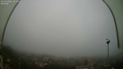 Preview delle webcam di Netro