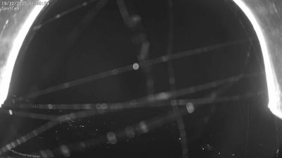 immagine della webcam nei dintorni di Biella: webcam Netro