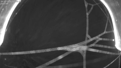 immagine della webcam nei dintorni di Donnas: webcam Netro