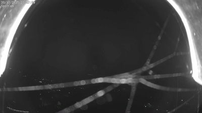 immagine della webcam nei dintorni di Viverone: webcam Netro