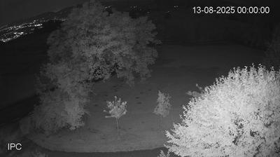 immagine della webcam nei dintorni di Schio: webcam Velo d'Astico