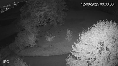 immagine della webcam nei dintorni di Arsiero: webcam Velo d'Astico