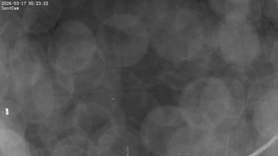 immagine della webcam nei dintorni di Cecina: webcam Quercianella