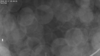 immagine della webcam nei dintorni di Livorno: webcam Quercianella