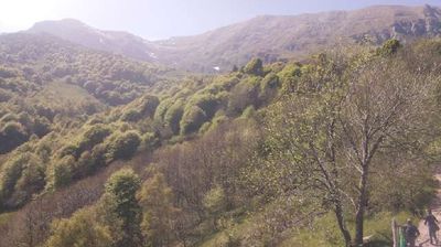 immagine della webcam nei dintorni di Averara: webcam Pasturo