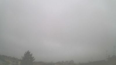 Preview delle webcam di Goito