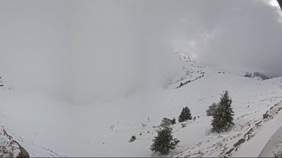 immagine della webcam nei dintorni di Alpe Giumello: webcam Piani di Bobbio