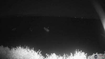 immagine della webcam nei dintorni di Sant'Antioco: webcam Matzaccara