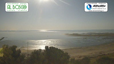 immagine della webcam nei dintorni di Bertiolo: webcam Grado Pineta