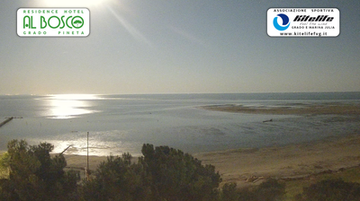 immagine della webcam nei dintorni di Sistiana: webcam Grado Pineta