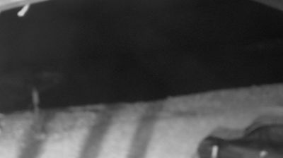 immagine della webcam nei dintorni di Dolcedo: webcam Imperia