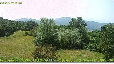 immagine della webcam nei dintorni di Cabella Ligure: webcam Casella
