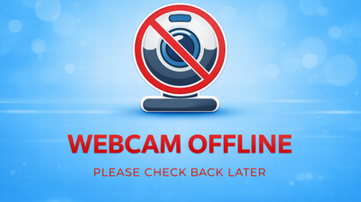 immagine della webcam nei dintorni di Ponte Galeria: webcam Isola Sacra