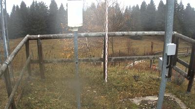 immagine della webcam nei dintorni di Folgaria: webcam Marco