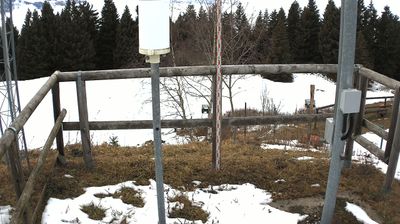 Preview delle webcam di Ala