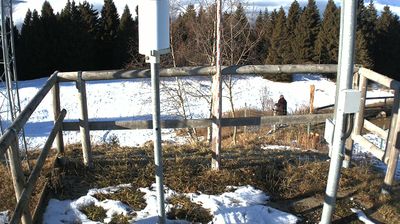 immagine della webcam nei dintorni di Brenzone sul Garda: webcam Ala