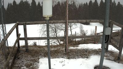 immagine della webcam nei dintorni di Besenello: webcam Marco