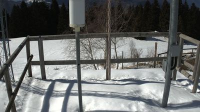 immagine della webcam nei dintorni di Lessinia: webcam Marco