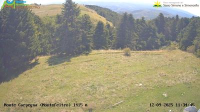 immagine della webcam nei dintorni di Monte Nerone: webcam Carpegna