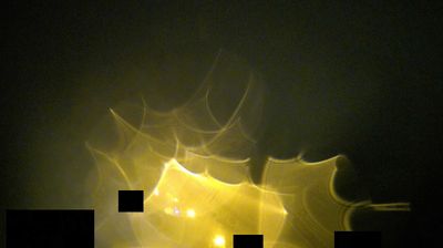 immagine della webcam nei dintorni di La Spezia: webcam Riccò del Golfo di Spezia