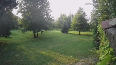immagine della webcam nei dintorni di Reggiolo: webcam Limidi
