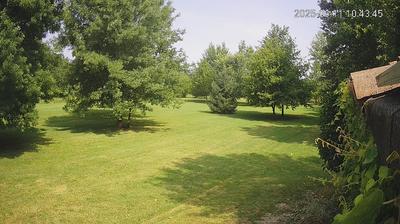 immagine della webcam nei dintorni di Reggiolo: webcam Limidi