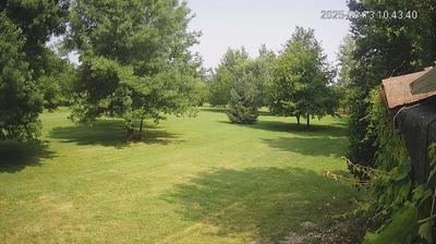 immagine della webcam nei dintorni di Sermide: webcam Limidi