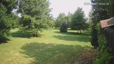 immagine della webcam nei dintorni di Novellara: webcam Limidi
