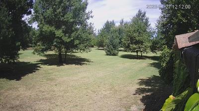 immagine della webcam nei dintorni di Sant'Agata Bolognese: webcam Limidi
