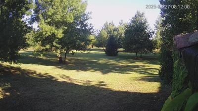 immagine della webcam nei dintorni di Suzzara: webcam Limidi