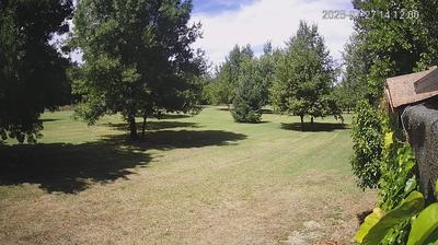 immagine della webcam nei dintorni di Novi di Modena: webcam Limidi