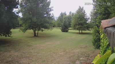 immagine della webcam nei dintorni di Arceto: webcam Limidi