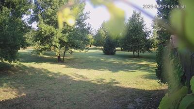 immagine della webcam nei dintorni di Bagnolo in Piano: webcam Limidi