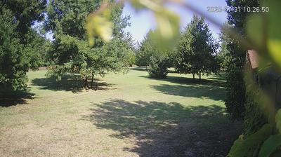 immagine della webcam nei dintorni di Novellara: webcam Limidi