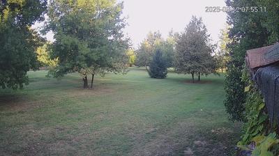 immagine della webcam nei dintorni di Pegognaga: webcam Limidi