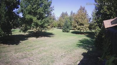 immagine della webcam nei dintorni di Sant'Agata Bolognese: webcam Limidi