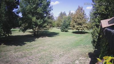 immagine della webcam nei dintorni di Rolo: webcam Limidi