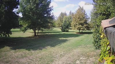 immagine della webcam nei dintorni di Arceto: webcam Limidi