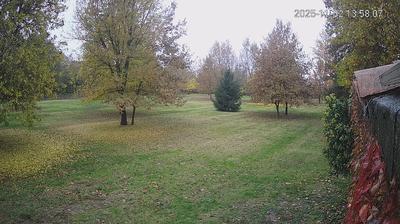 immagine della webcam nei dintorni di Reggiolo: webcam Limidi