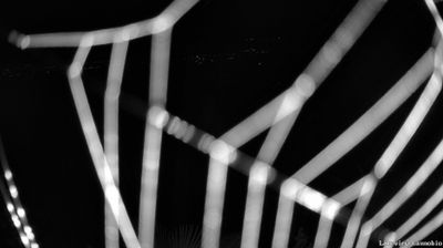 immagine della webcam nei dintorni di Baceno: webcam Cannobio