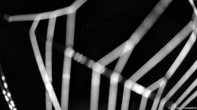 immagine della webcam nei dintorni di Craveggia: webcam Cannobio