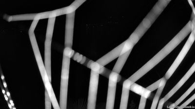 immagine della webcam nei dintorni di Craveggia: webcam Cannobio