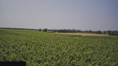 immagine della webcam nei dintorni di Tavernola Bergamasca: webcam Paderno Franciacorta