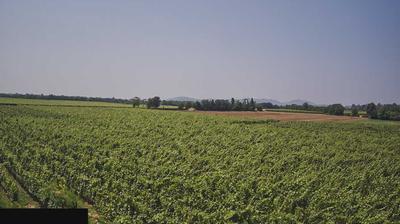 immagine della webcam nei dintorni di Collebeato: webcam Paderno Franciacorta