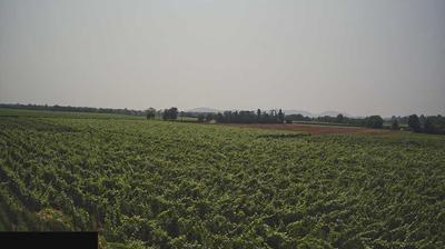 immagine della webcam nei dintorni di Collebeato: webcam Paderno Franciacorta