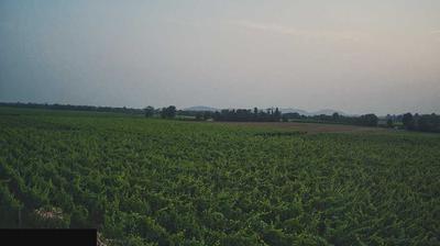 immagine della webcam nei dintorni di Collebeato: webcam Paderno Franciacorta