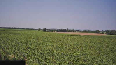 immagine della webcam nei dintorni di Passirano: webcam Paderno Franciacorta