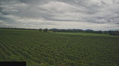 immagine della webcam nei dintorni di Brescia: webcam Paderno Franciacorta