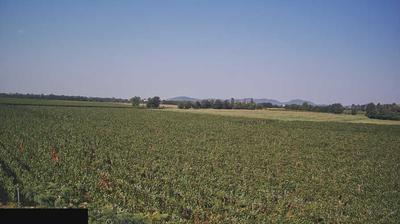 immagine della webcam nei dintorni di Sale Marasino: webcam Paderno Franciacorta