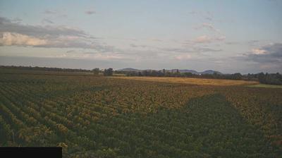 immagine della webcam nei dintorni di Casto: webcam Paderno Franciacorta